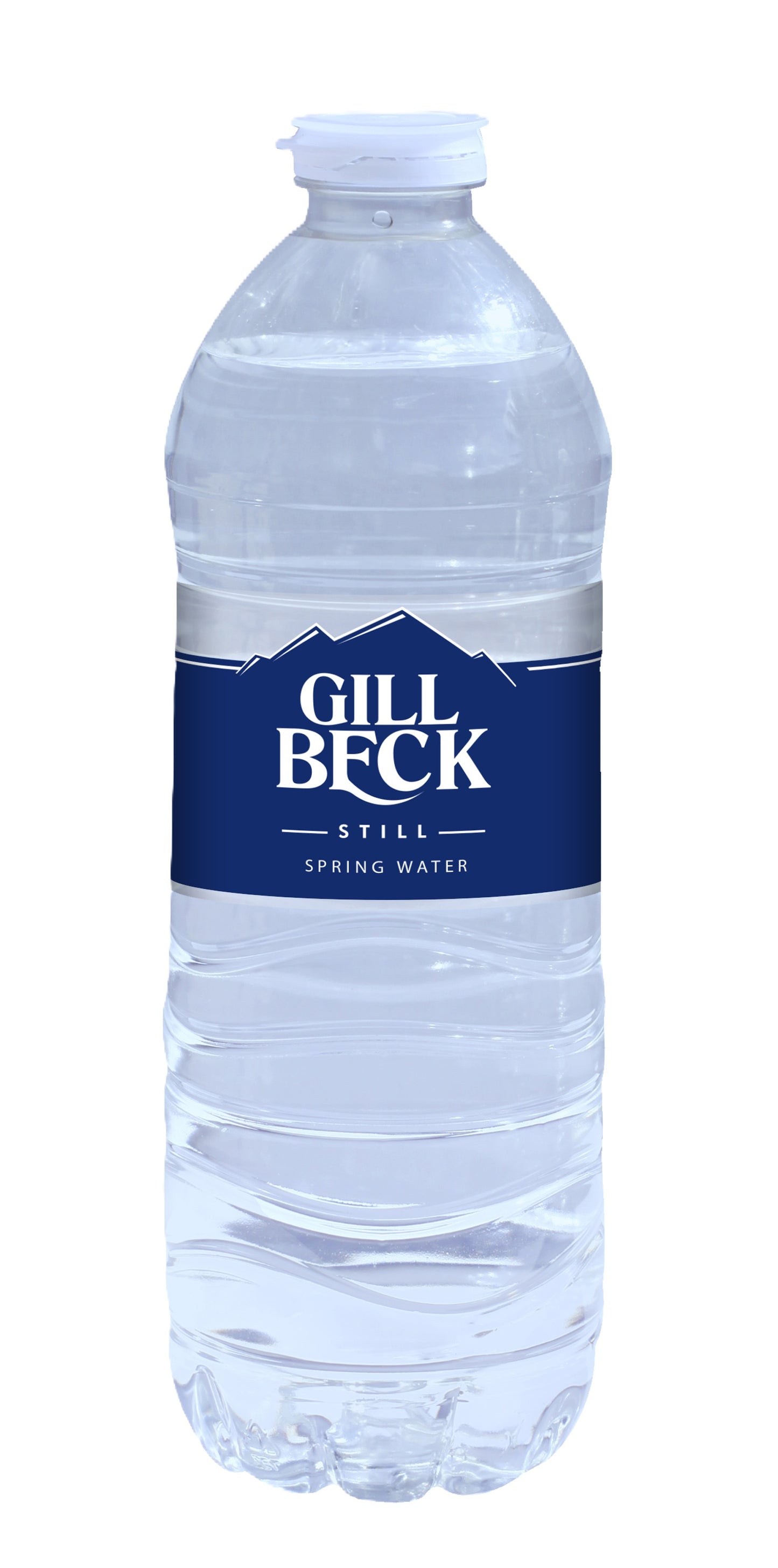 Water (500ml)