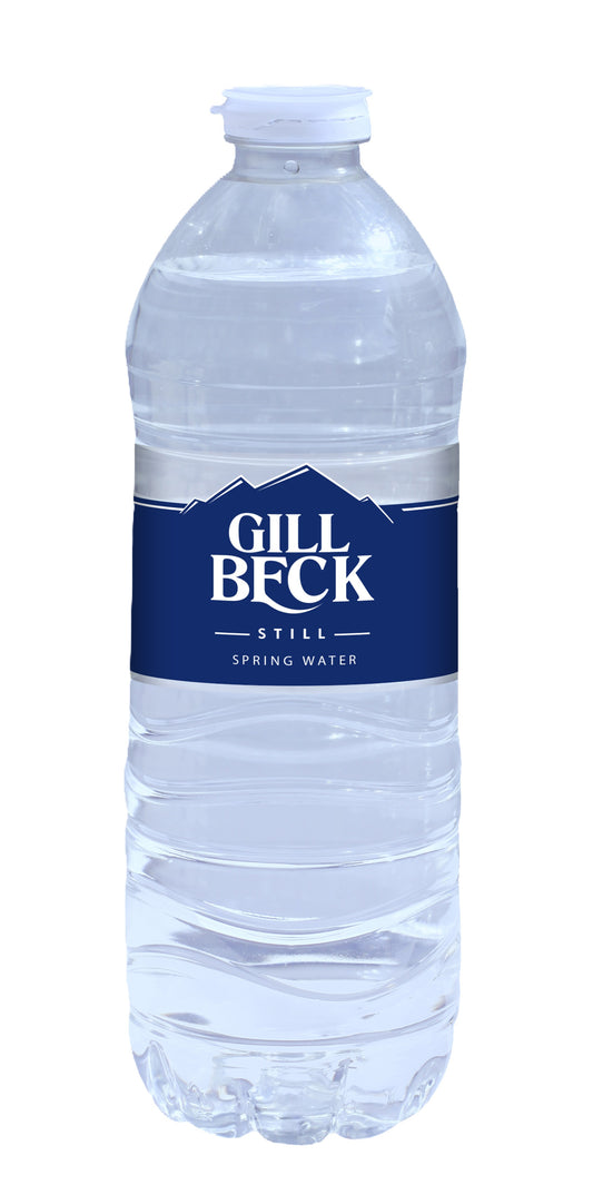 Water (500ml)